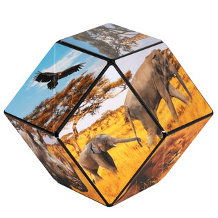 SHASHIBO SAVANNA 4