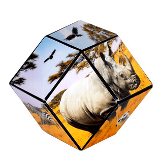 SHASHIBO SAVANNA 6