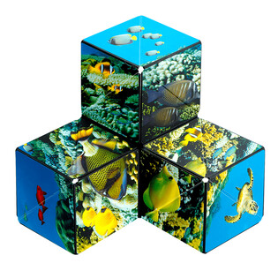 SHASHIBO UNDERSEA 5