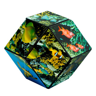 SHASHIBO UNDERSEA 8