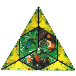 SHASHIBO JUNGLE 5