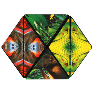 SHASHIBO JUNGLE 6
