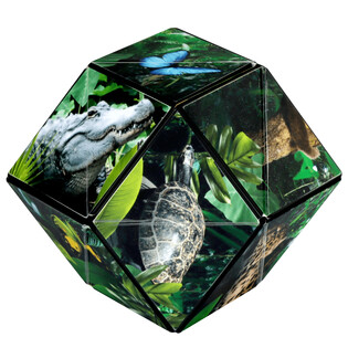 SHASHIBO JUNGLE 7