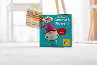 LISCIANI CAROTINA BABY SORTER KRASNALE I KWIATY 6