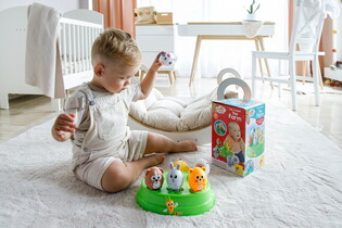 LISCIANI CAROTINA BABY SORTER FARMA 14