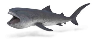 COLLECTA REKIN WIELKOGĘBOWY