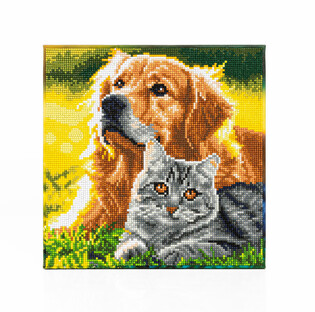 DIAMOND DOTZ ADULTS CANVA PURRFECT DAY
