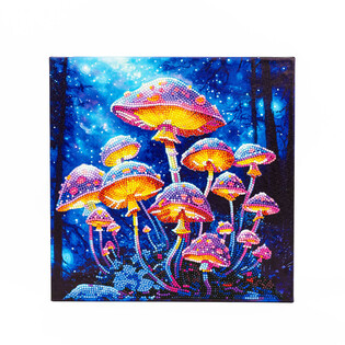 DIAMOND DOTZ ADULTS CANVA MUSHROOM MOONLIGHT
