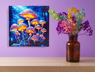 DIAMOND DOTZ ADULTS CANVA MUSHROOM MOONLIGHT
 3