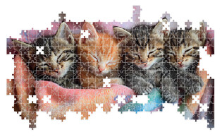 LISCIANI PUZZLE ADULTS KOCIAKI 500 ELEMENTÓW 5