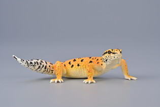 COLLECTA GEKON TYGRYSI 3