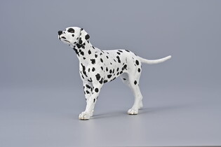 COLLECTA DALMATYŃCZYK 3