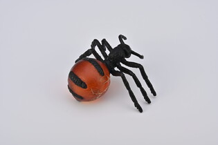 COLLECTA MRÓWKI MIODODAJNE 3
