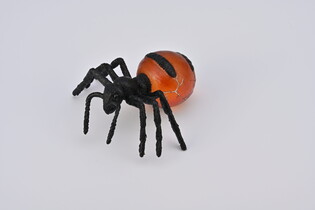 COLLECTA MRÓWKI MIODODAJNE 5