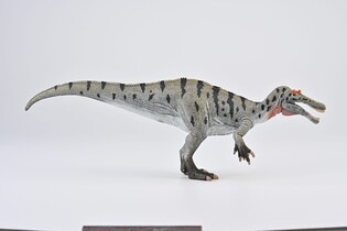 COLLECTA ŁOWIĄCY CERATOSUCHOPS Z RUSZAJĄCĄ SIĘ SZCZĘKĄ 3