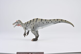 COLLECTA ŁOWIĄCY CERATOSUCHOPS Z RUSZAJĄCĄ SIĘ SZCZĘKĄ 4