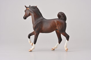 COLLECTA ARABSKA KLACZ WĄTROBOWA 5