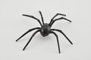 COLLECTA PAJĄK CZARNA WDOWA 3