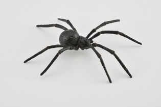 COLLECTA PAJĄK CZARNA WDOWA 4
