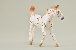 COLLECTA ŹREBIĘ KNABSTRUP 5