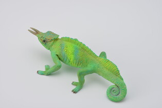 COLLECTA KAMELEON GÓRSKI 5