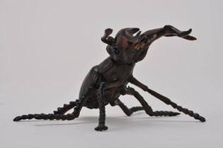 COLLECTA JELONEK ROGACZ 4