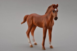 COLLECTA ŹREBIĘ STOJĄCE THOROUGHBRED CHESNUT 4