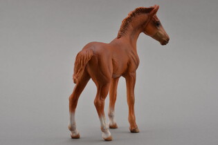 COLLECTA ŹREBIĘ STOJĄCE THOROUGHBRED CHESNUT 6