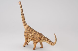 COLLECTA DINOZAUR ARGENTYNOZAUR 3