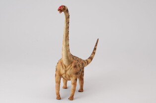 COLLECTA DINOZAUR ARGENTYNOZAUR 5