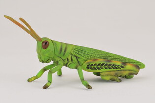 COLLECTA KONIK POLNY 3