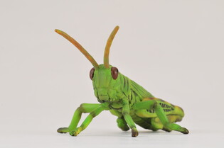 COLLECTA KONIK POLNY 4