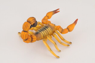 COLLECTA SKORPION 4