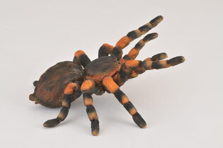 COLLECTA PTASZNIK CZERWONOKOLANOWY 3