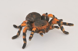 COLLECTA PTASZNIK CZERWONOKOLANOWY 4