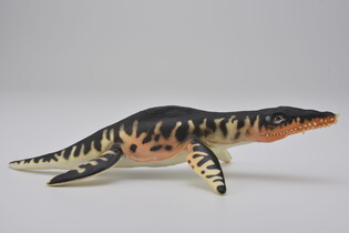 COLLECTA DINOZAUR LIOPLEURODON 3