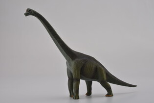 COLLECTA DINOZAUR BRACHIOZAUR 4