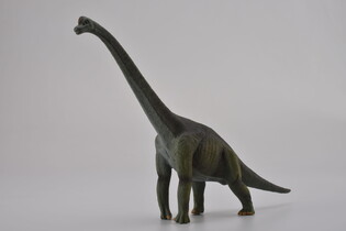 COLLECTA DINOZAUR BRACHIOZAUR 5