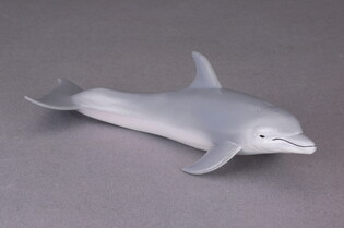 COLLECTA DELFIN BUTLONOSY 3