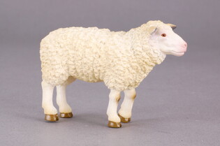COLLECTA OWCA 3