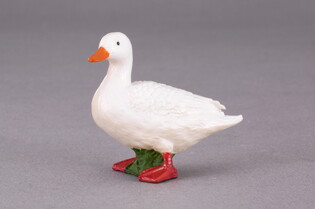 COLLECTA KACZKA BIAŁA
 3