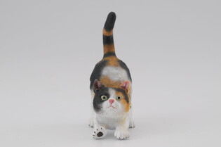 COLLECTA KOT DOMOWY PRZECIĄGAJĄCY SIĘ TRZYKOLOROWY 3