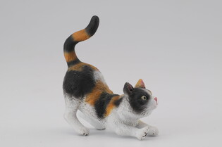 COLLECTA KOT DOMOWY PRZECIĄGAJĄCY SIĘ TRZYKOLOROWY 4