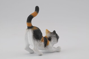 COLLECTA KOT DOMOWY PRZECIĄGAJĄCY SIĘ TRZYKOLOROWY 5