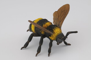 COLLECTA TRZMIEL 4