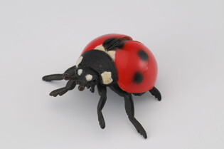 COLLECTA BIEDRONKA 4