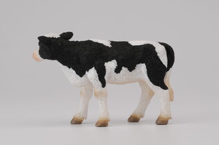 COLLECTA CIELĘ STOJĄCE 5