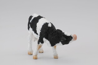 COLLECTA CIELĘ 4