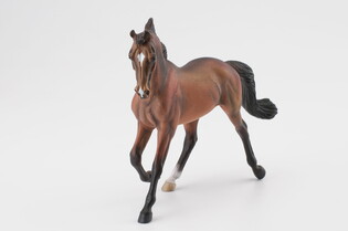 COLLECTA KLACZ THOROUGHBRED MAŚCI BAY 3