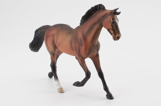 COLLECTA KLACZ THOROUGHBRED MAŚCI BAY 4
